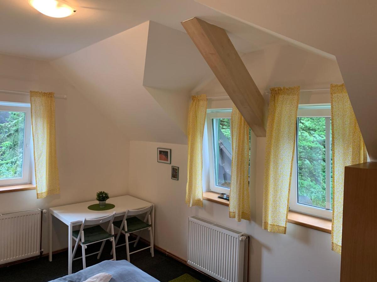 Penzion Zelené Údolí Janské Lázně Exterior foto