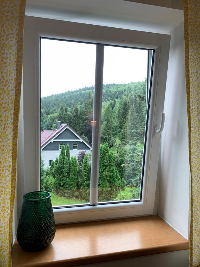 Penzion Zelené Údolí Janské Lázně Exterior foto